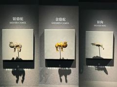 -秦始皇兵马俑博物馆-停车场