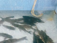 -杨林闻老三酸菜鱼(总店)