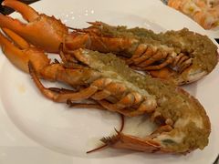 -圆顶阁西餐厅(郑州索菲特国际饭店 )