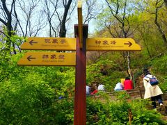 -老象峰