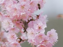 -苏州上方山国家森林公园