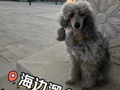 -天津妈祖文化园