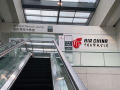 -虹桥机场国航贵宾室v8