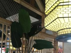 -探窝·竹笙椰子鸡(杨箕店)