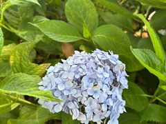 -苏州太湖西山岛开心农场