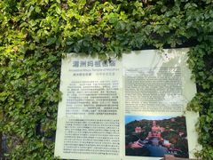 -莆田湄洲妈祖祖庙