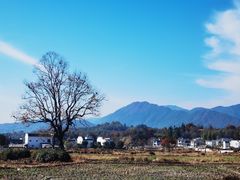 -塔川景区