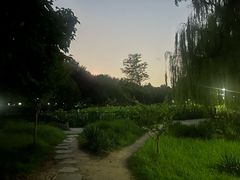 -莲花池公园