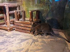 -常州海昌海洋探索馆