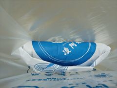 -凌阿姨·粢饭团(清扬路店)