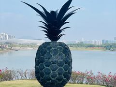 -深圳人才公园
