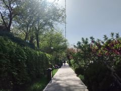 -元大都城垣遗址公园
