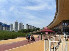 -西安浐灞国家湿地公园