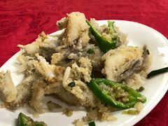 -蛇口康乐快餐鱼仔档(翠苑小区店)