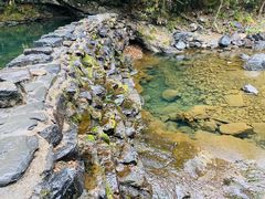 -石台牯牛降景区