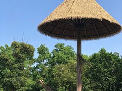 -南昌动物园