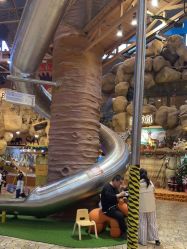 -卡通尼·Safari非洲探索乐园·生日会(金桥国际商业广场店)