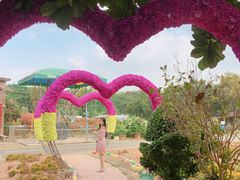 -松山湖梦幻百花洲