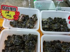 -渔人湾码头海鲜市场负二楼