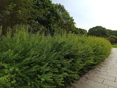 -共青国家森林公园-南大门停车场