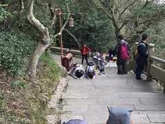 -普陀山风景区-佛顶山