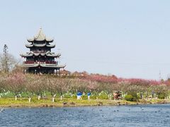 -上海海湾国家森林公园