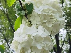 -玄武湖景区-情侣园游乐场