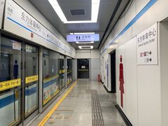 -东方体育中心(地铁站)