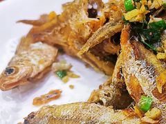-全乐鱼馆·淳牌有机鱼直营店
