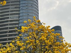 -洲头咀公园