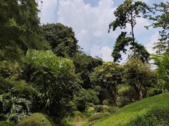 -云溪植物园