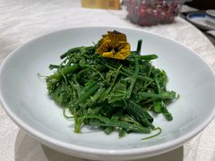 爽口丝瓜尖-丹江渔村(上地店)