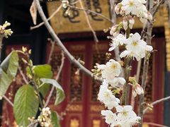 -古大圣慈寺