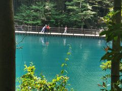 -石台牯牛降景区