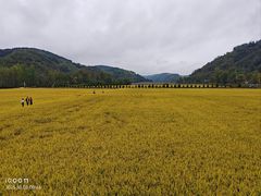-南泥湾风景区