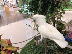 -开元商城(西旺店)