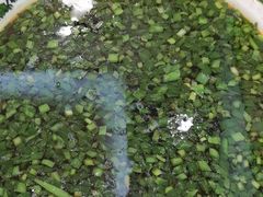 -俺家厨子土菜馆