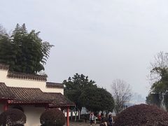 -大渡口区义渡公园