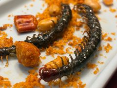 -了能菜·传统特色粤菜·虫宴