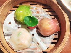 -点都德·毕德寮