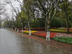 -上海鲜花港