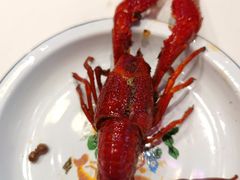 -文和友老长沙龙虾馆(化龙池店)