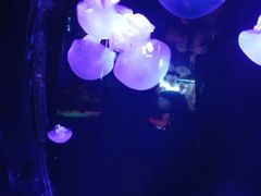 -青岛海底世界-水族馆