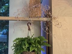 -BeauTea水仙(coco park店)