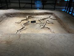 -洛阳周王城天子驾六博物馆