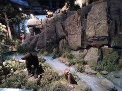 -陕西自然博物馆