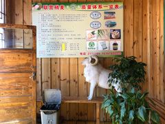 -联营烧麦(乌兰察布店)