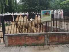 -保定市动物园