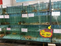 -海岛渔村大酒店(云霄路店)