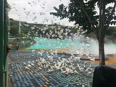 -瓷天下海丝谷